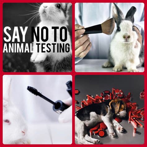 chanel animal testing china